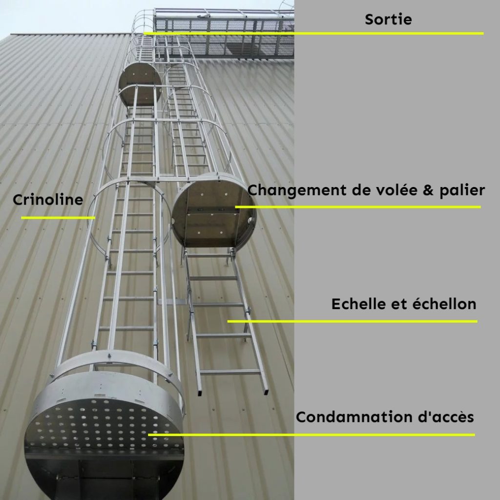 Composition d'un &eacute;chelle &agrave; crinoline